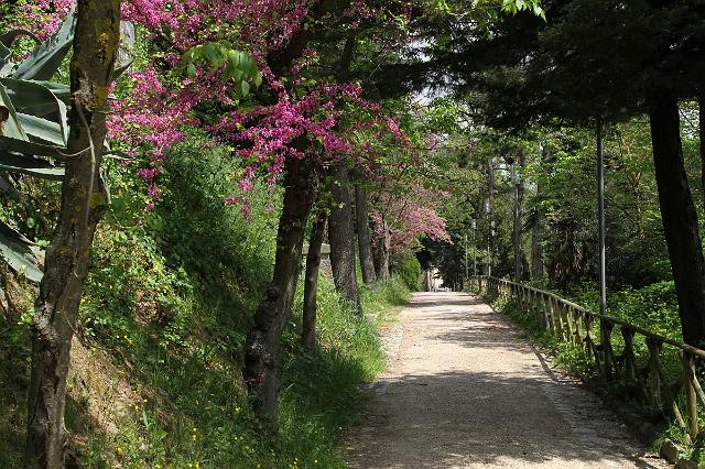 0318 Trassimeno - Todi.JPG